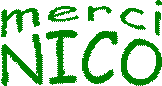 Logo_merci_nico_vert